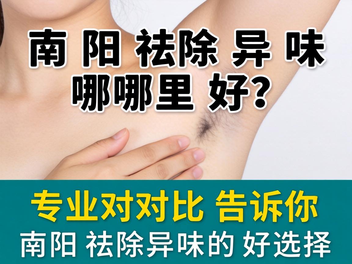 南阳祛除异味哪里好？专业对比告诉你南阳祛除异味的好选择