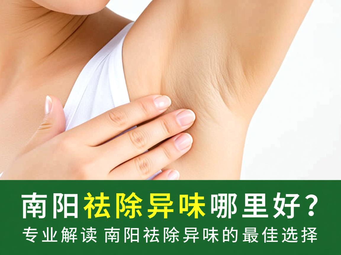 南阳祛除异味哪里好?专业解读南阳祛除异味的最佳选择 南阳祛除异味哪里好?专业解读南阳祛除异味的最佳选择