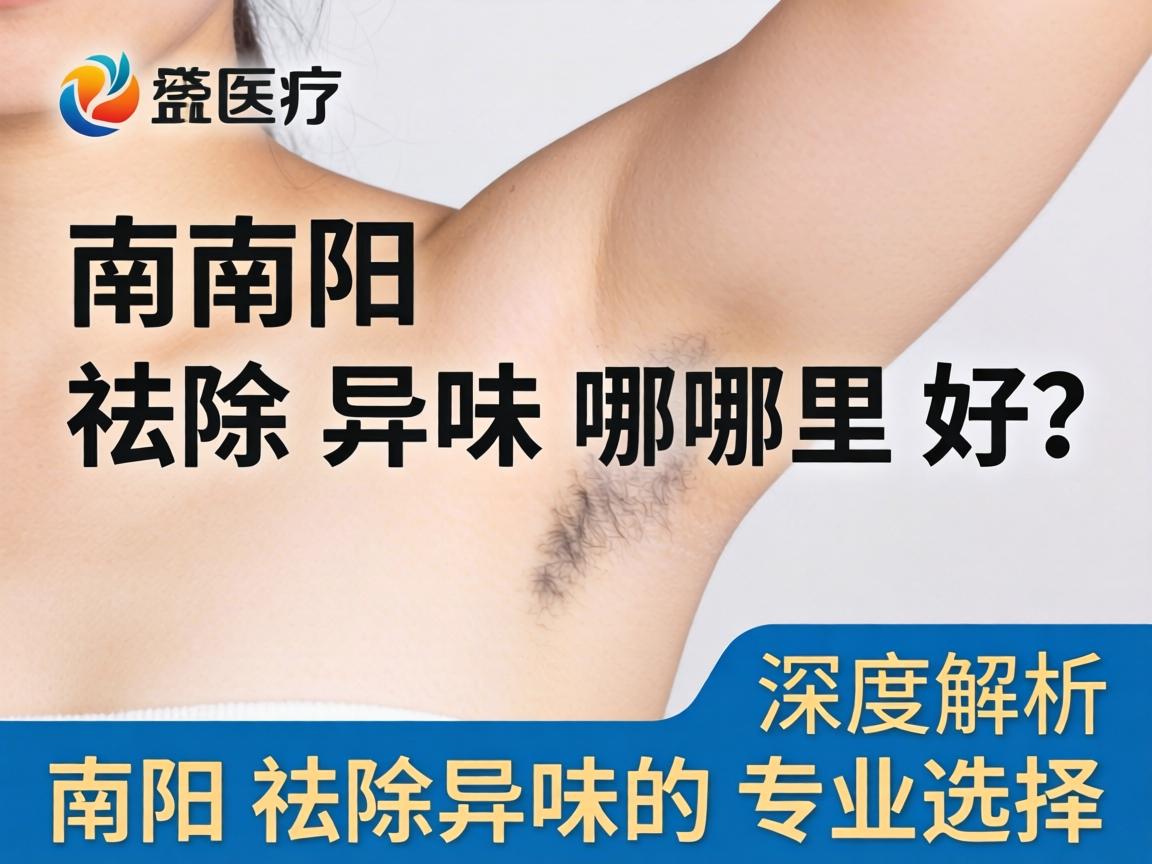 南阳祛除异味哪里好？深度解析南阳祛除异味的专业选择